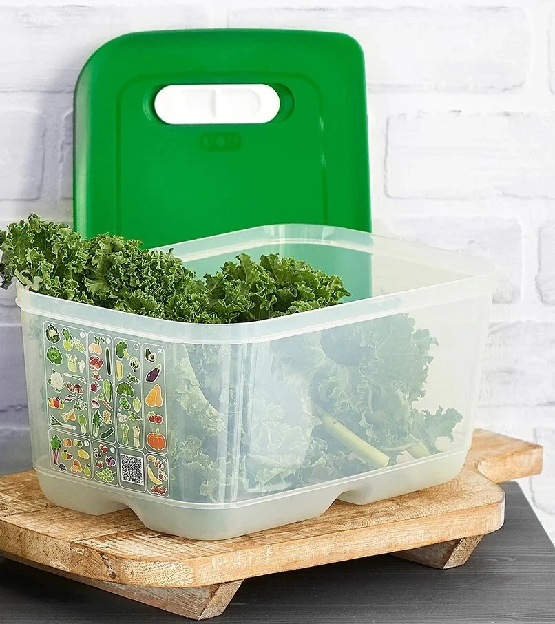 Tupperware FridgeSmart Medium Deep 1 gallon container holds 2 HEADS LETTUCE NEW