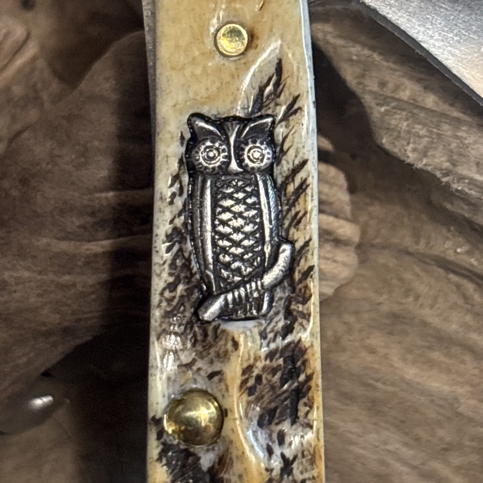 Case XX Knife NEW Custom 3D Silver Inlay Wise Old Owl 6.5 Bone Stag Peanut NIB