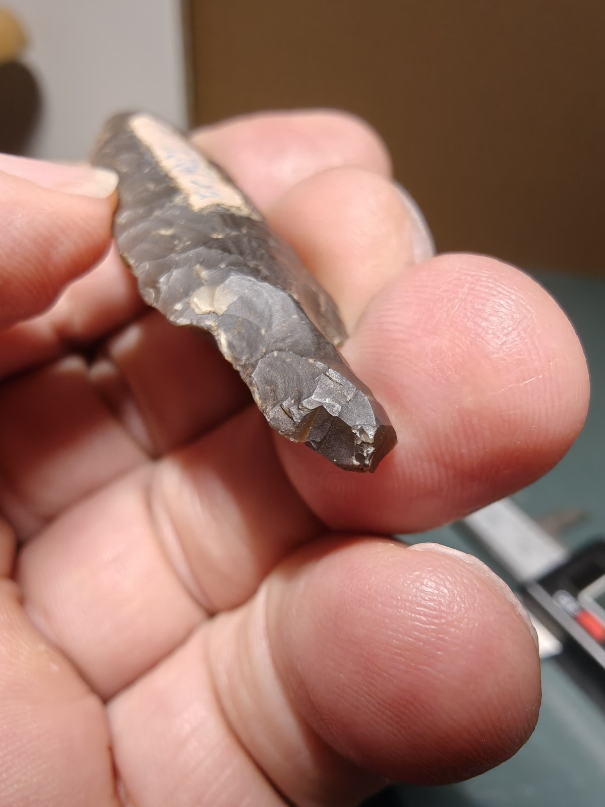 Alaskan Dark Chalcedony Bear Point 2.6″