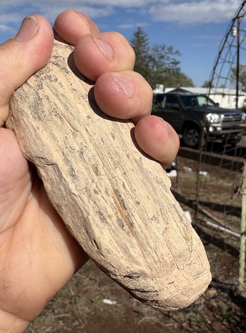 ☘️RR⚒: Anasazi Artifact, Ergonomic Hand Tool Made From Petrified Wood, NE AZ.