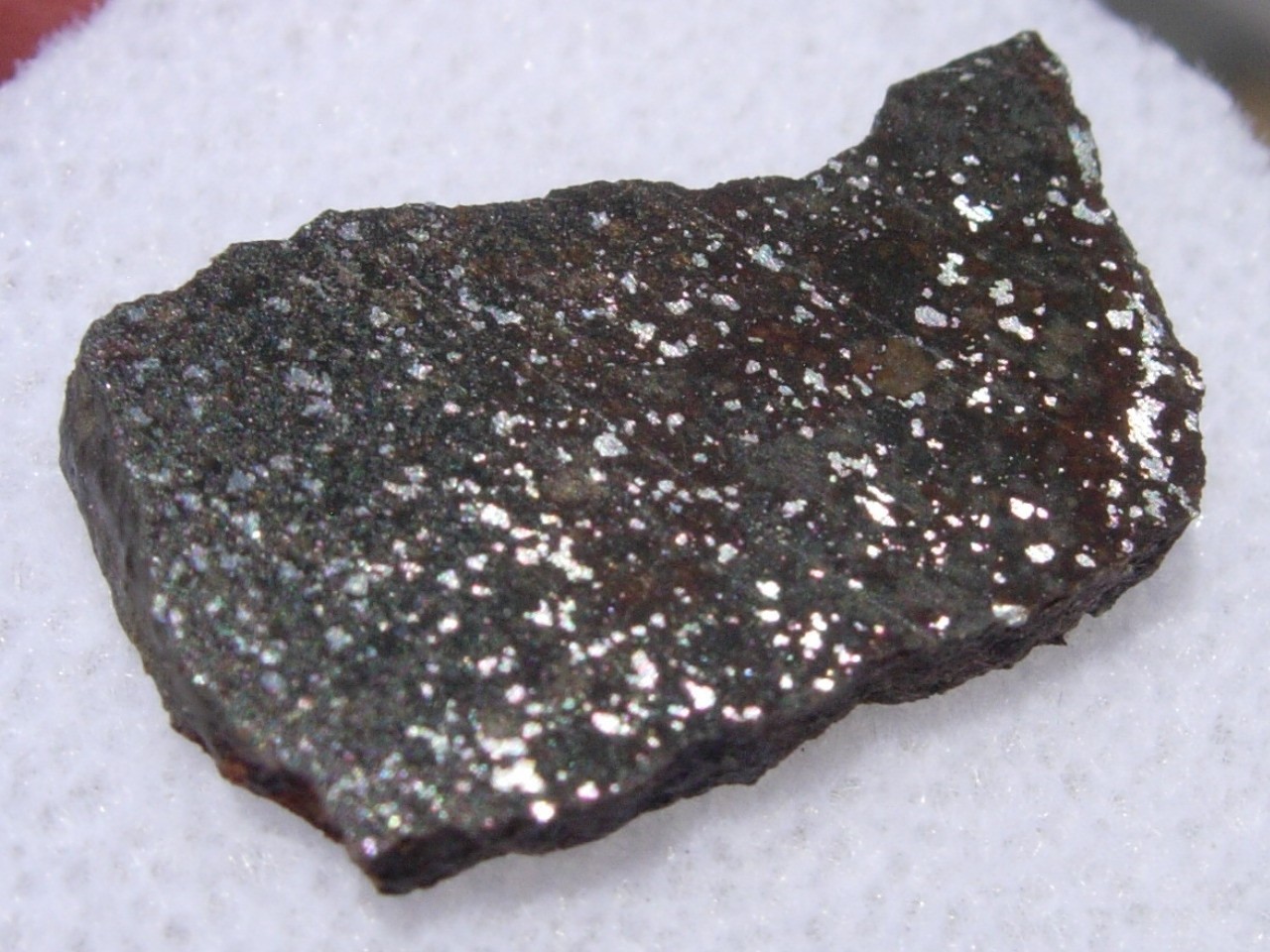 1.03 grams 17x10x2mm slice Reggane 006 ( OC4-an ) 1 of 1 type Meteorite with COA