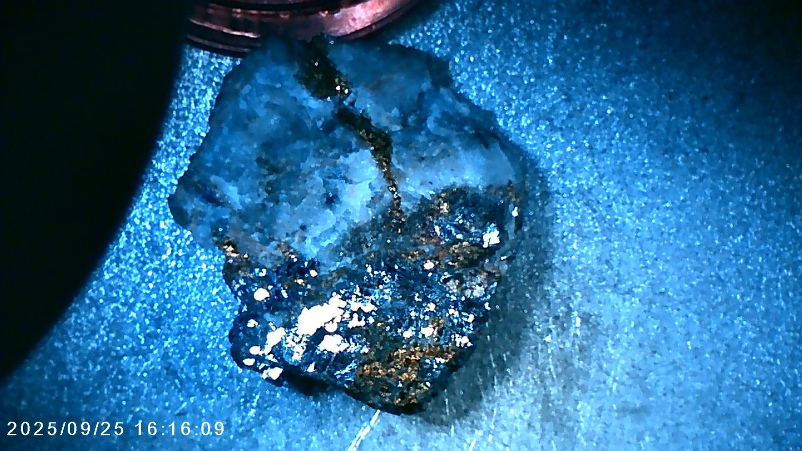 Visible GOLD & CALAVERITE in Quartz Specimen Sunnyside Mine, Silverton COLORADO