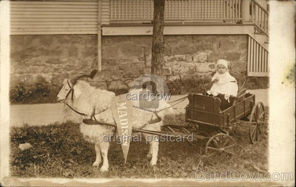 A 6 month old baby sitting wagon drawn by goat (Madison flag) Original RPPC