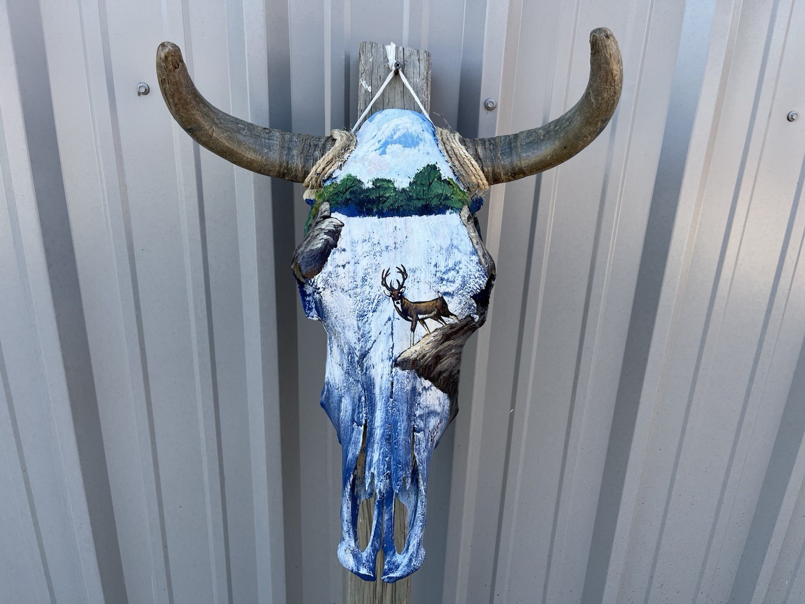 STEER SKULL Painted 17 1/2 Inch WIDE BULL HORN MOUNTED COW HEAD Deer