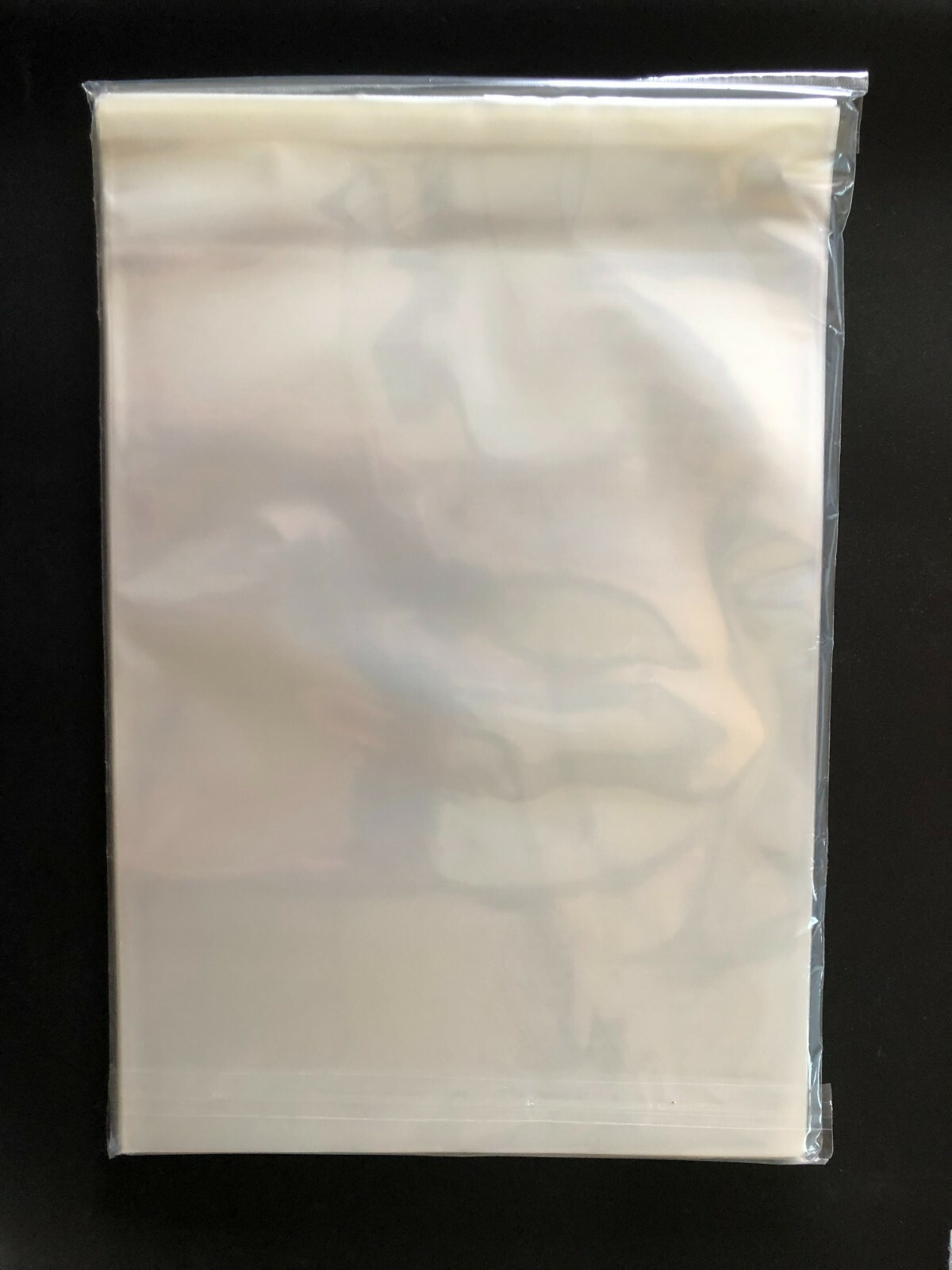 100 Resealable Book Bags 10 x 13 Archival Storage 2 Mil Acid Free