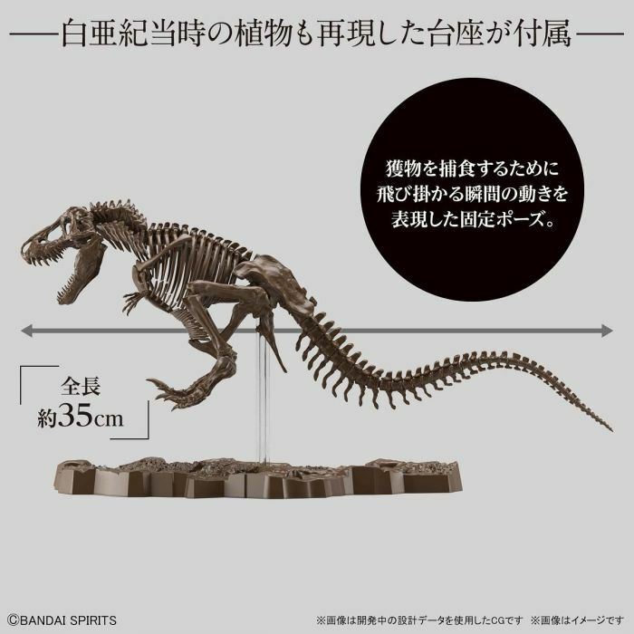 Tyranosaurus , Bandai Spirits Hobby Imaginary Skeleton 1/32