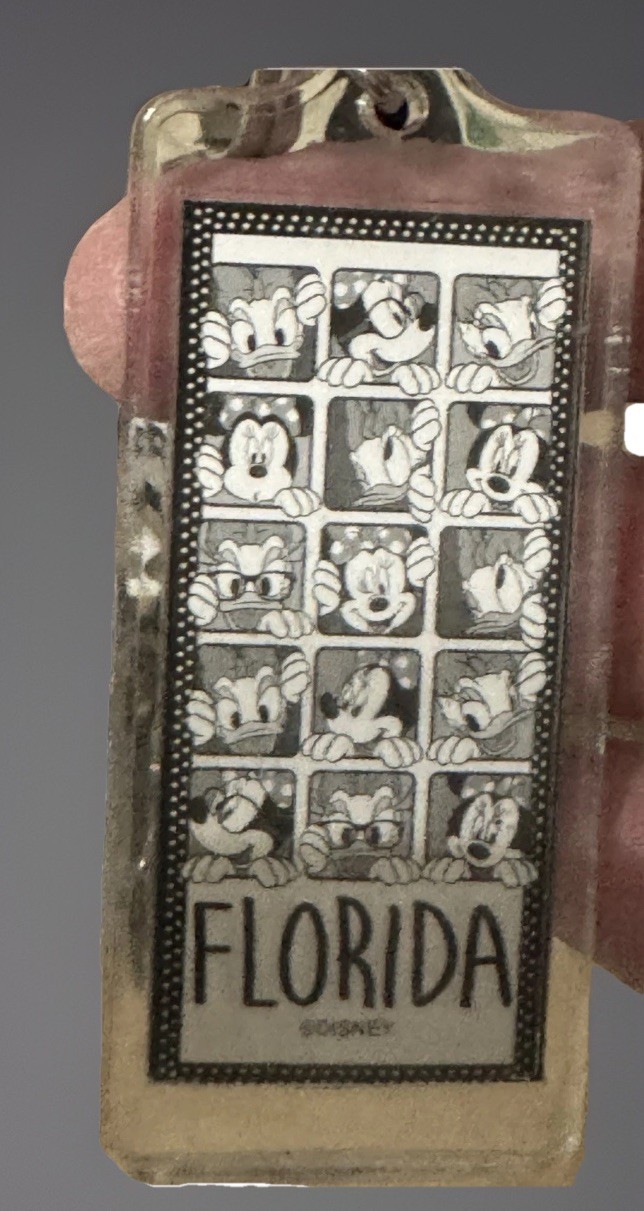 8 Keychains From Orlando FLORIDA Travel Souvenir