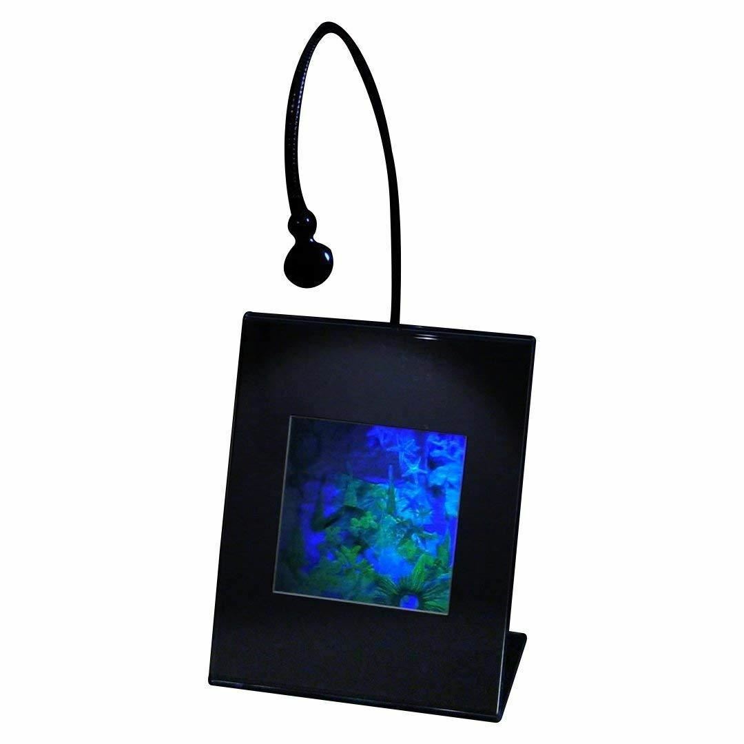 3D Undersea Hologram Picture LIGHTED DESK STAND, Collectible EMBOSSED Type Film