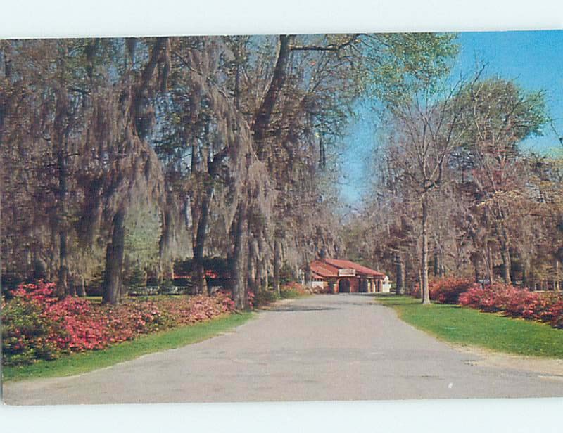Chrome ROAD SCENE Tallahassee Florida FL j/27 AH5202@