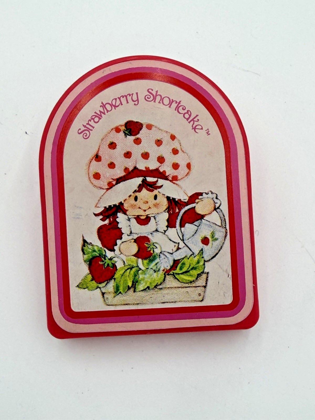 VINTAGE STRAWBERRY SHORTCAKE WALL MOUNTABLE PAPER MEMO BAG CLIP