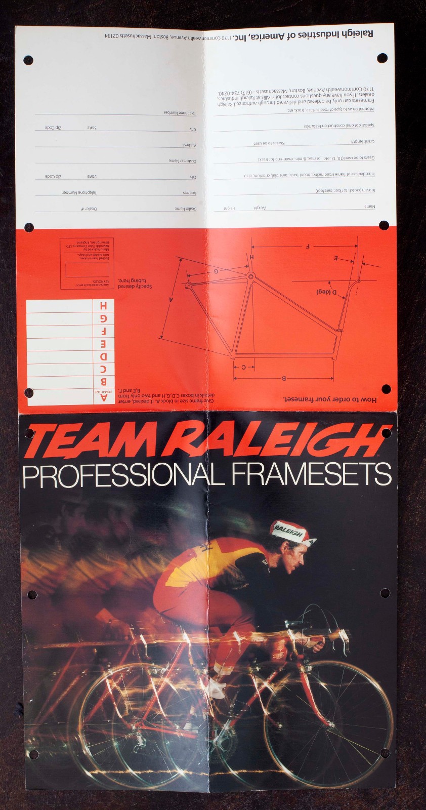 Vintage ’76 Team Ti Raleigh Reynolds 753 bicycle frame dealer catalog order form