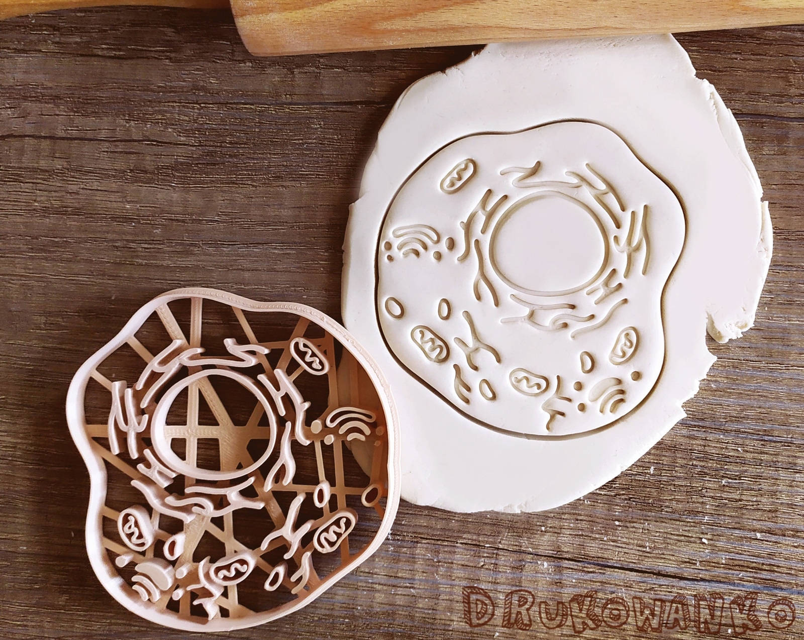 Animal Cell Biology Medicine Chemisty Body Nature Human Natural Cookie Cutter