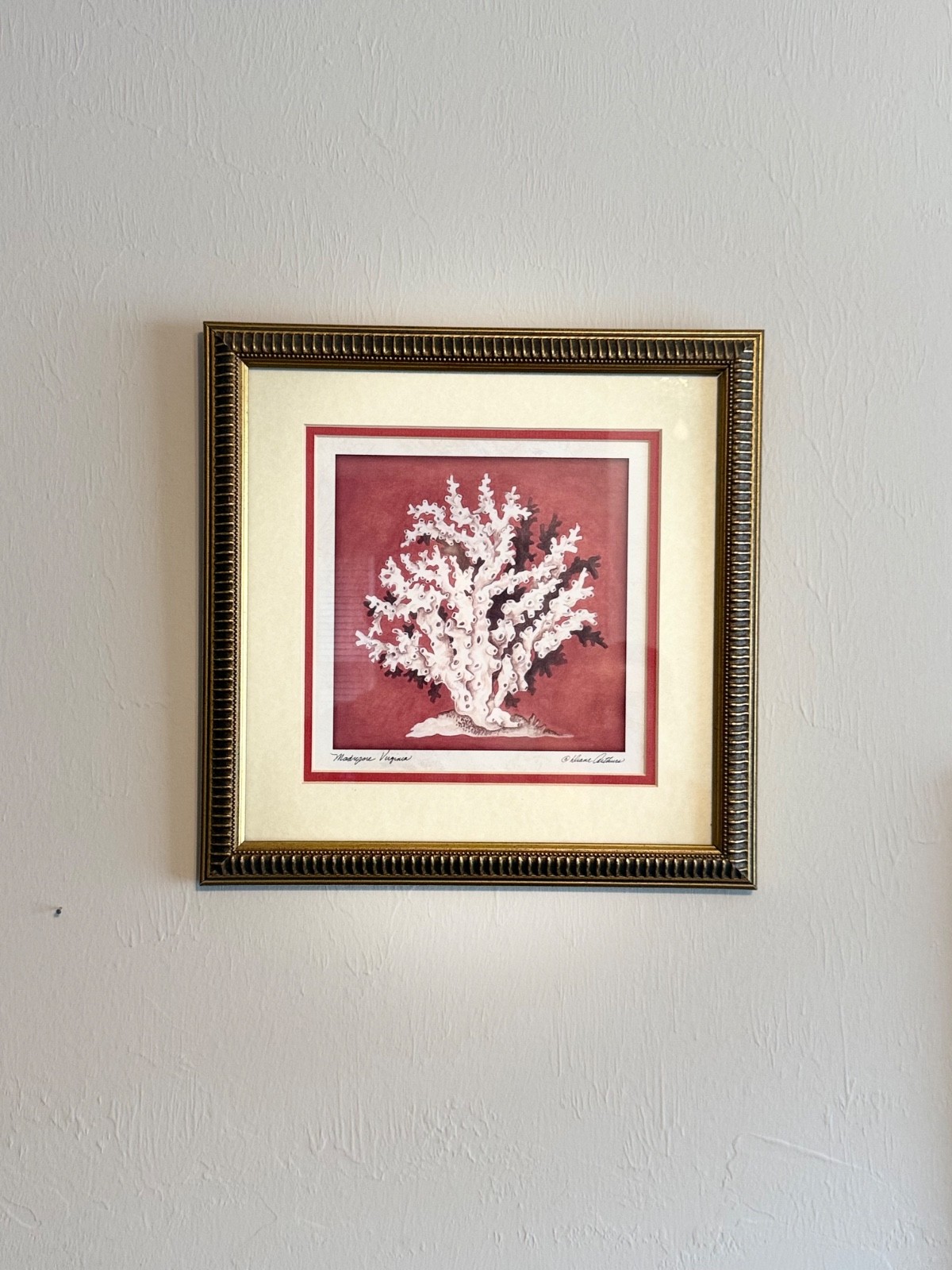 Wall Decor – Red Coral with Gold Frame Pictures – 3 set- 12×12