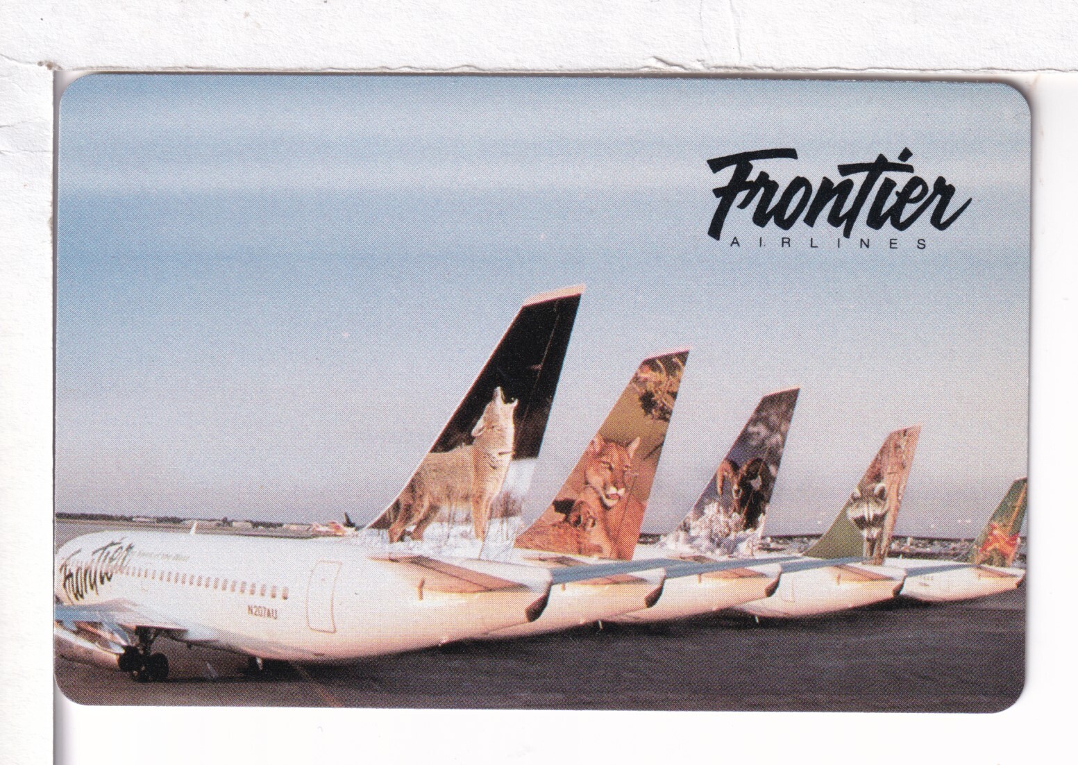 Single Airline Playing Card “Frontier Air, FFT 100 A”, Chan#,Standard faces,1993