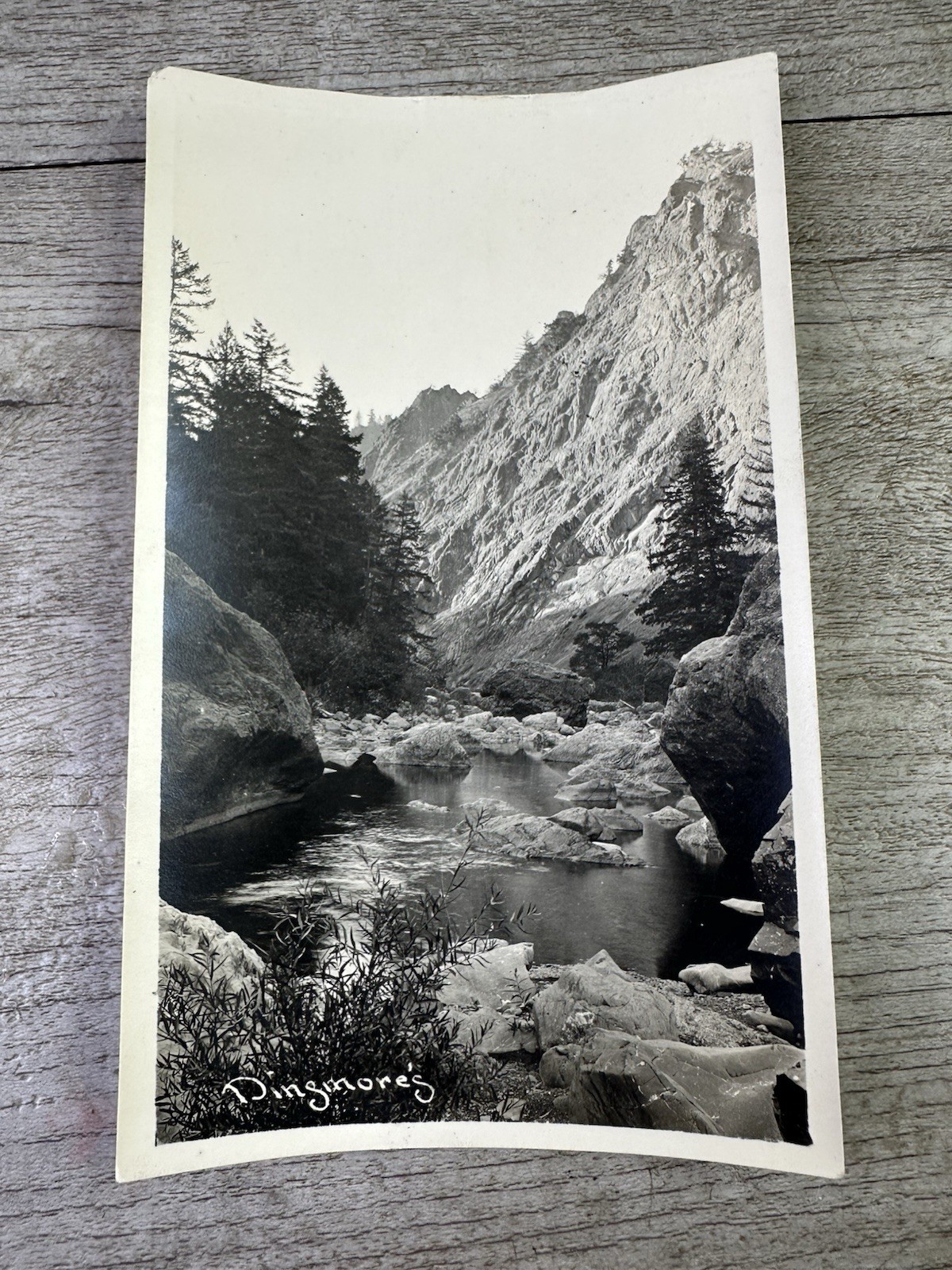Vintage Dinsmore’s Professional Outdoor Black & White Photo Canyon Trees River