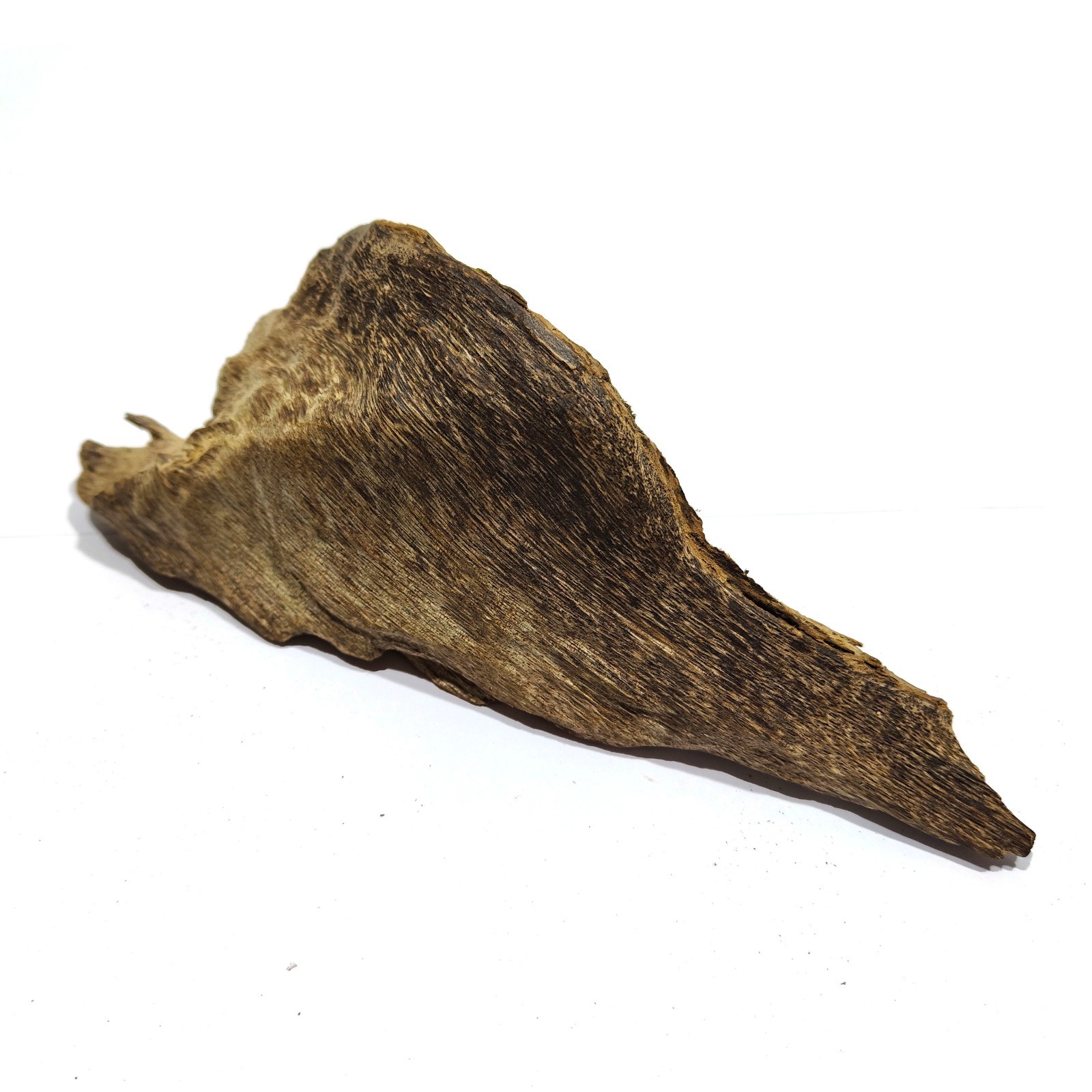 112gr 1 pcs Aquilaria malacensis agarwood strong aroma incense from Kalimantan