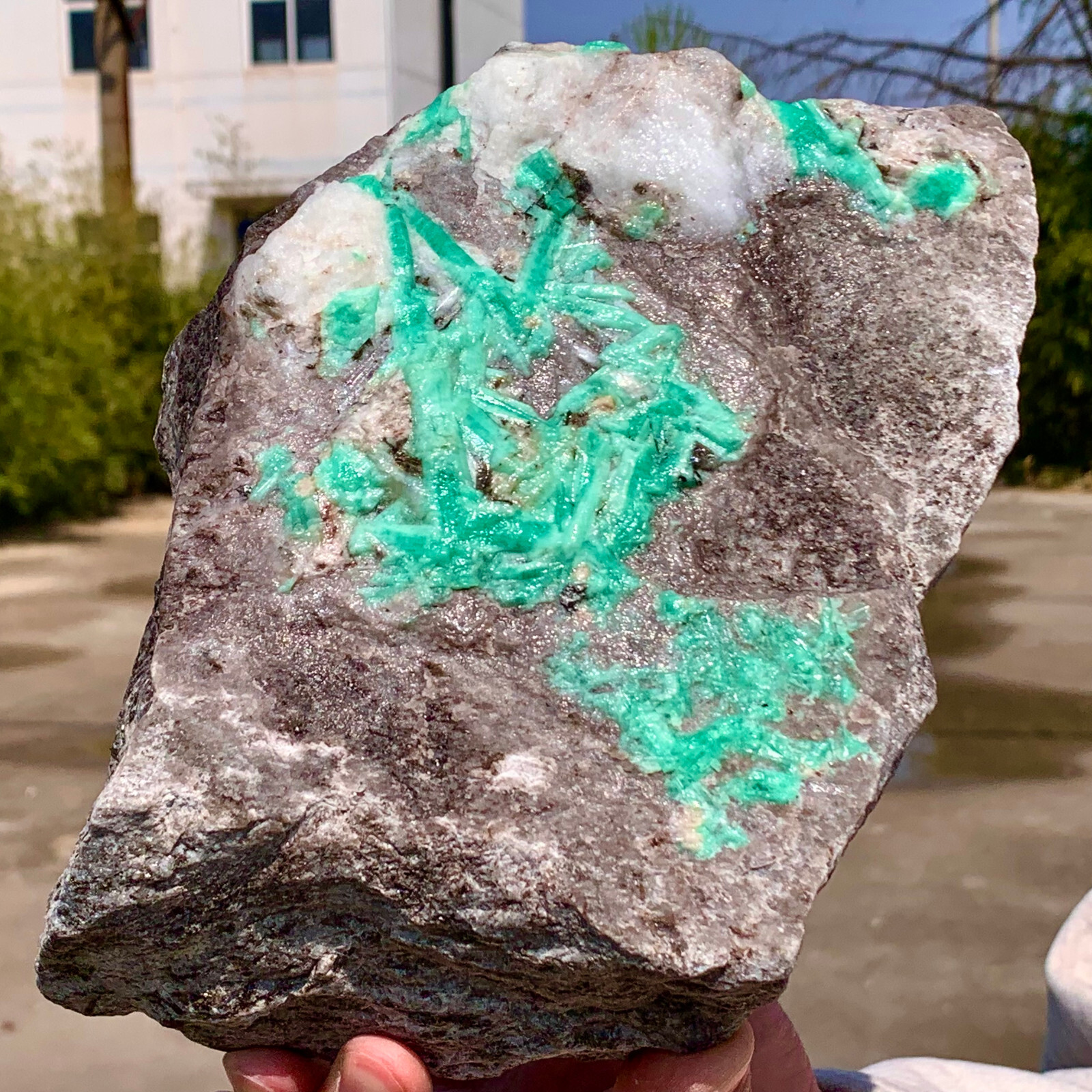 6.14LB Natural Rare Emerald Gem Crystal Mineral Specimen/China