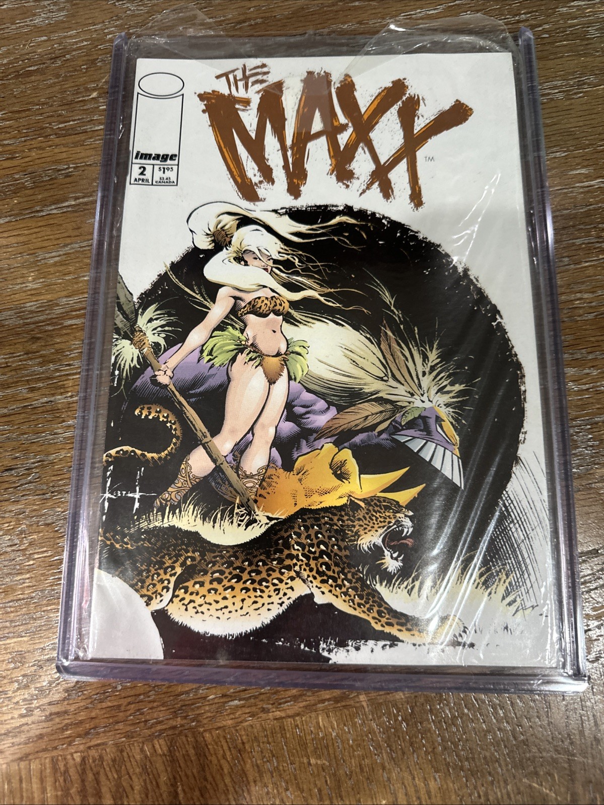 The Maxx #2 (1993 Image Comics) Sam Kieth, William Messner-Loebs – Near Mint