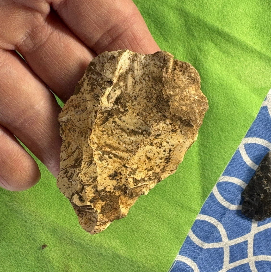 GUARANTEED Authentic Ancient Alabama Indian Artifact- 2 3/4″
