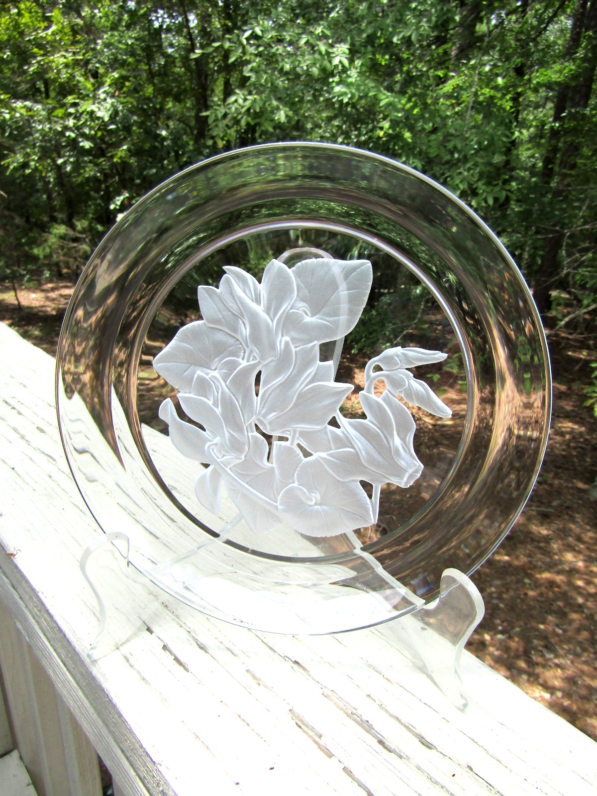 HOYA / Crystal / FLOWER OF THE MONTH / DECEMBER / CYCLAMEN / 8 1/4″