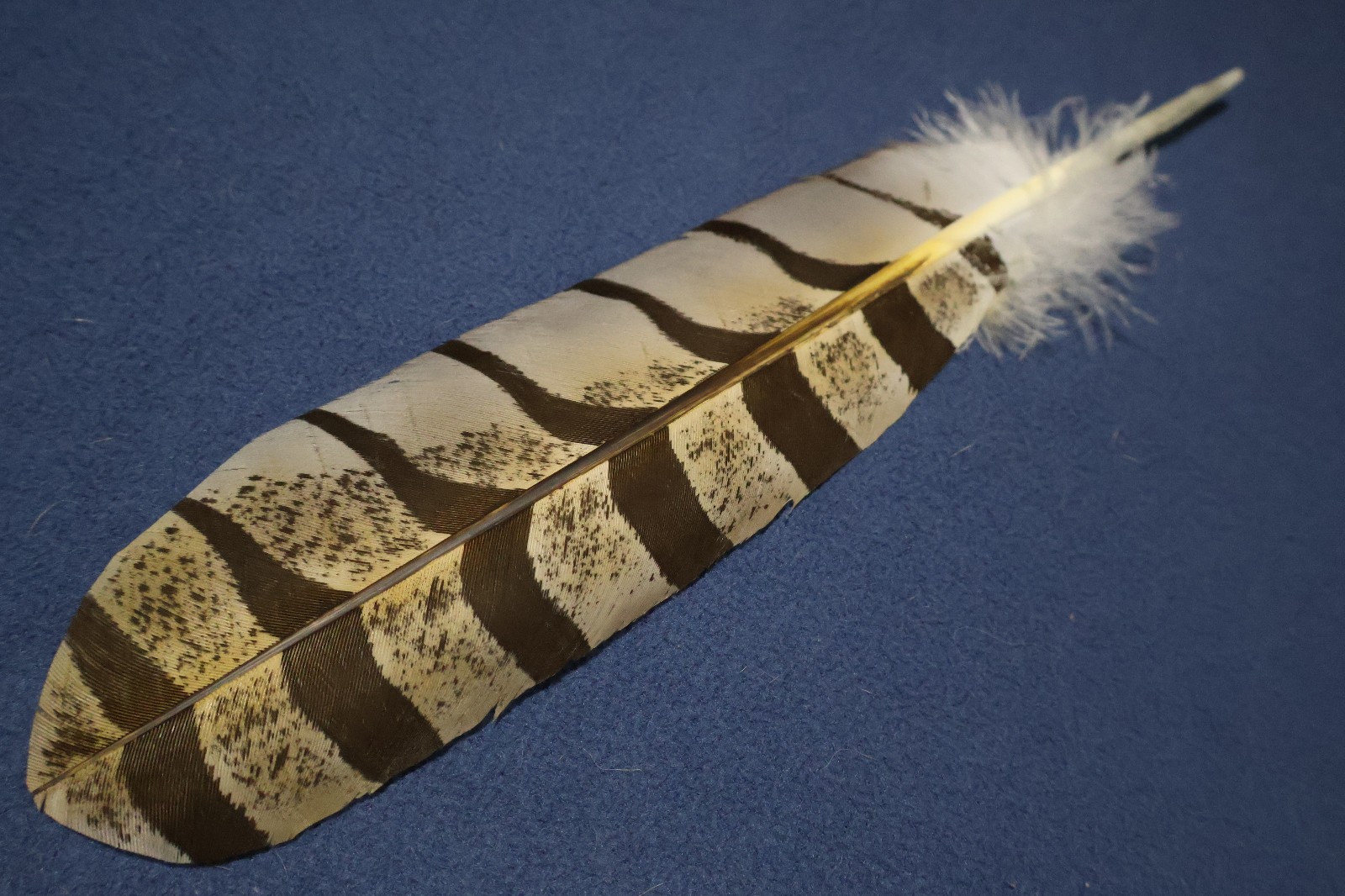 Native American realistic hand-painted Great Horned Owl Feather