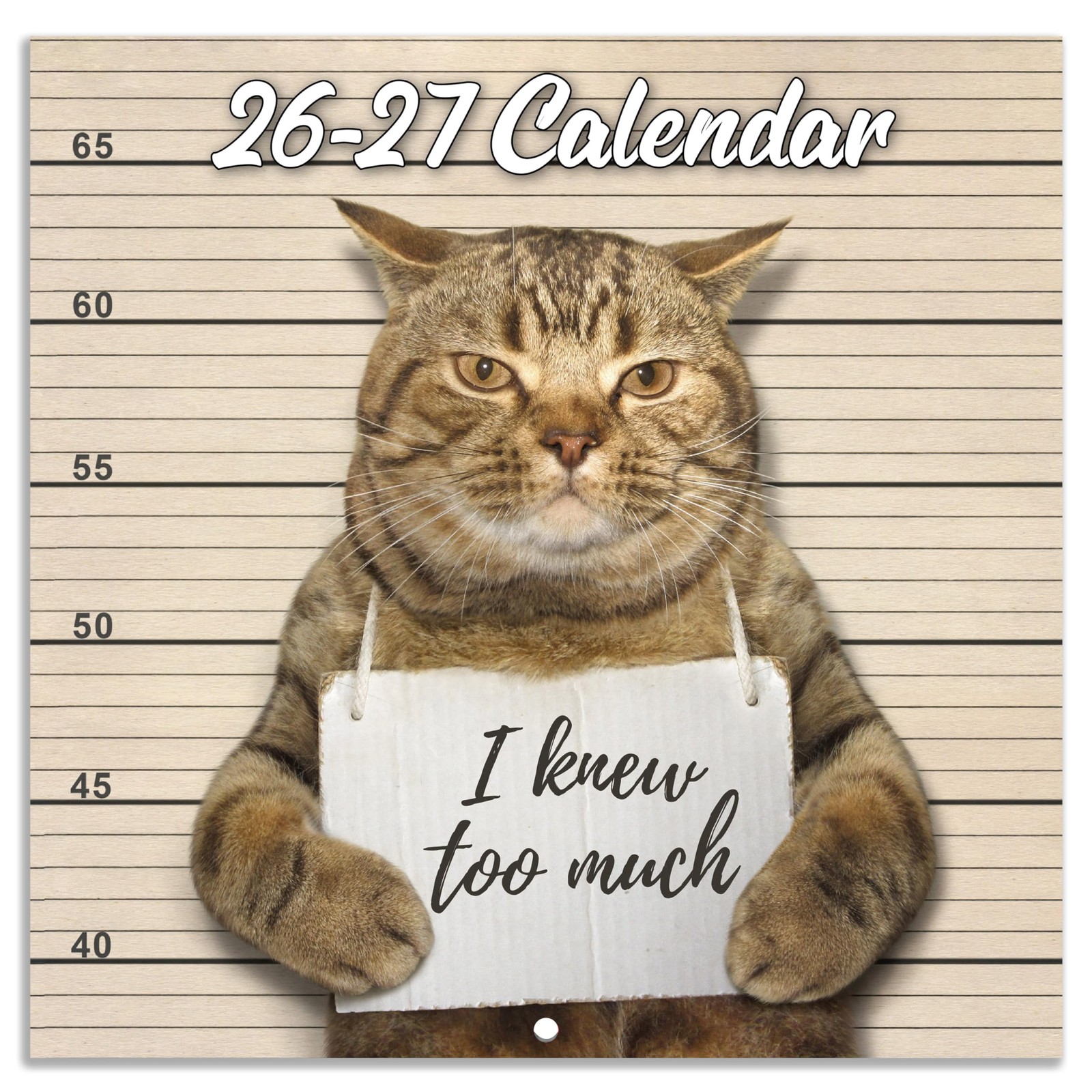 Funny Cat Wall Calendar 2026 2027 18 Months July Dec 12×24