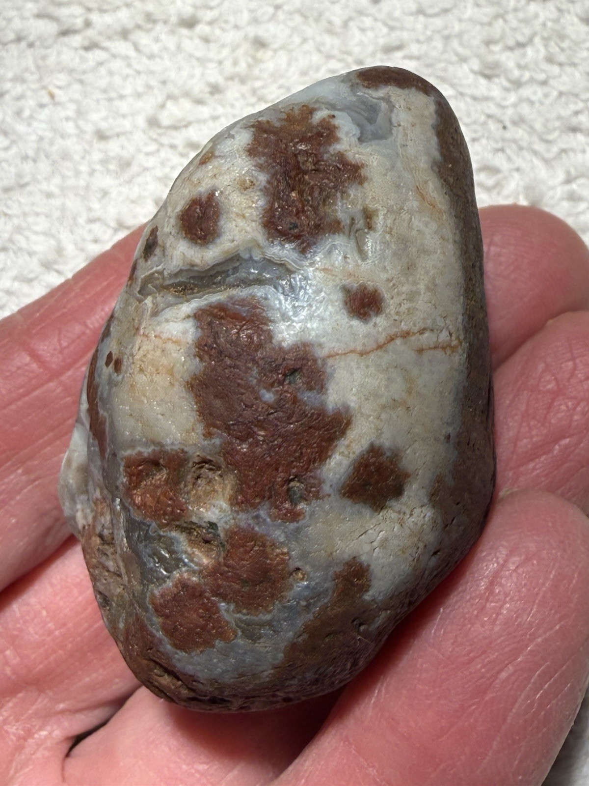 3.1oz Lake Superior Agate- Sunbleach with Fine Banding And Beautiful Husk