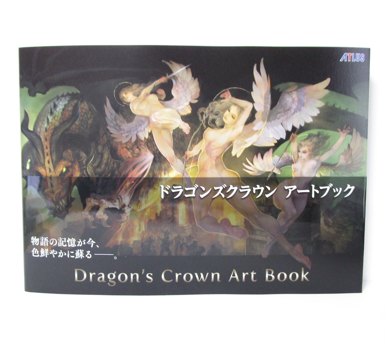 Dragon’s Crown Art Book
