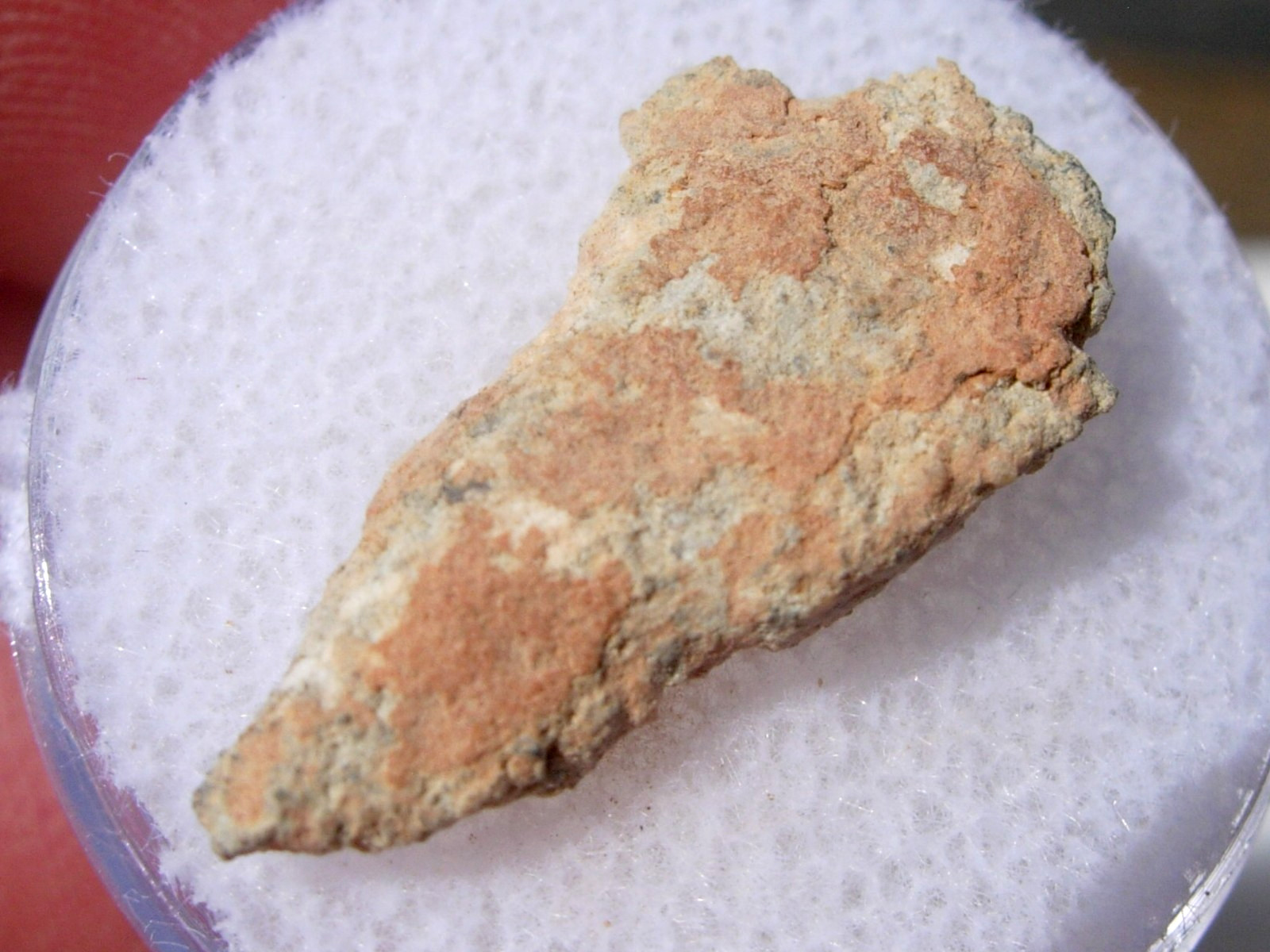 .815 grams 21mm Bechar 003 Lunar as found individual Meteorite with a COA