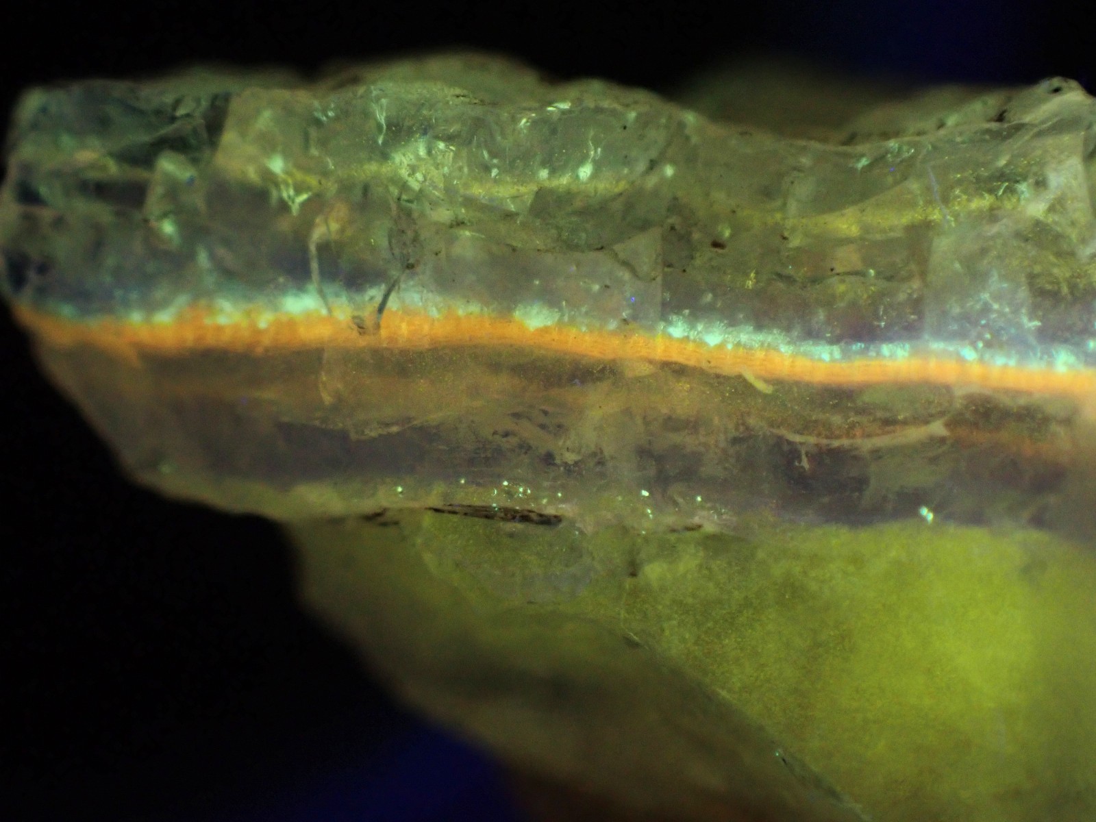Beautifully fluorescent Hokkaidoite and opals containing organic minerals B239