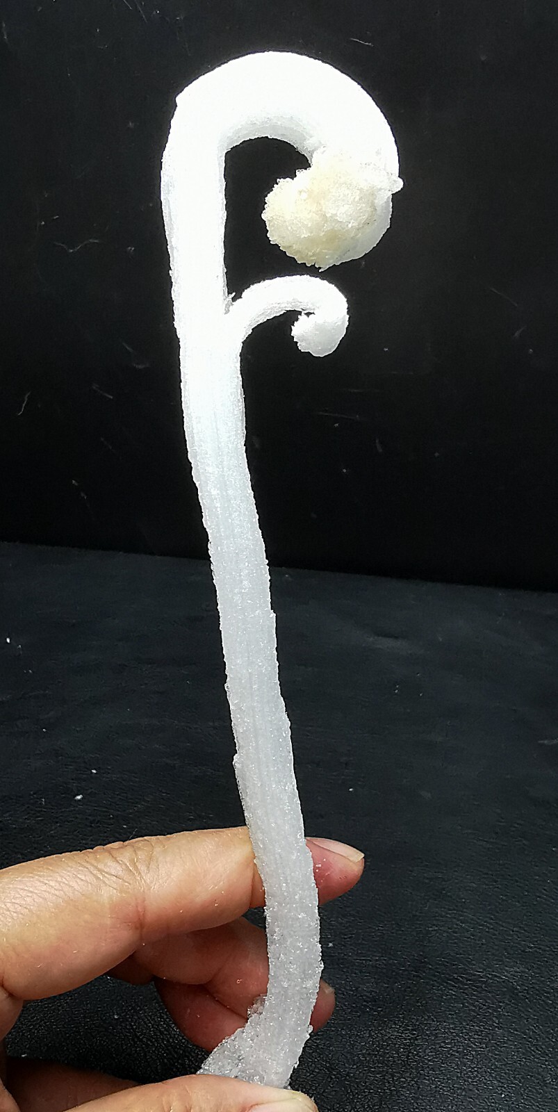 50gNatural ‘Ram’s Horn’ shape Selenite (Gypsum), Natural Mineral Specimen