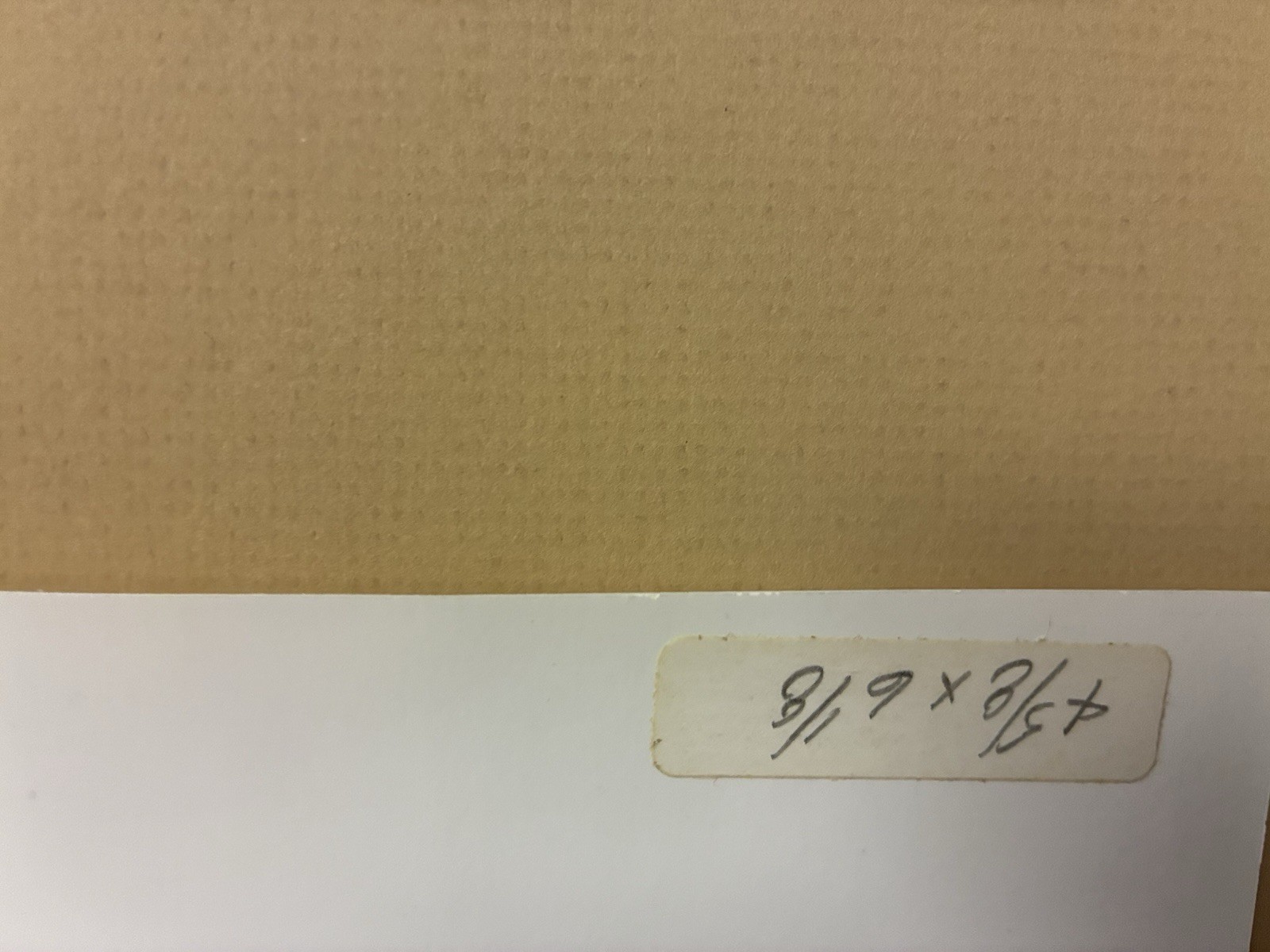 Oliver Gagliani Signed Proof Photograph – Untitled (Icy Grass)