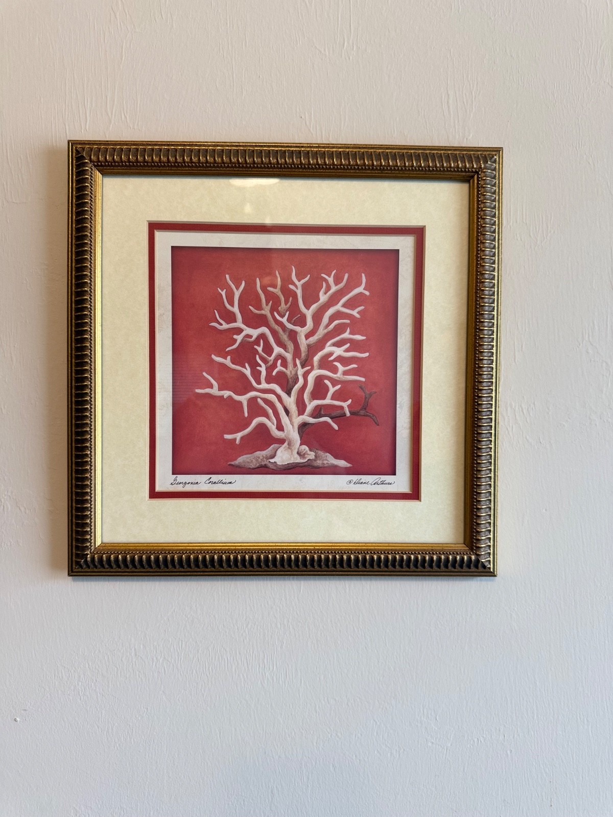 Wall Decor – Red Coral with Gold Frame Pictures – 3 set- 12×12