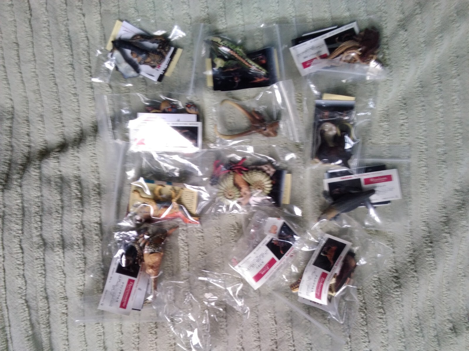 Kaiyodo Dinotales series 4 ONLY ceratosaurus and skull ONLY