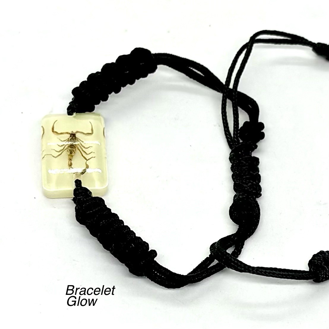 Scorpions In Resin Specimen Bracelet Pendant Necklace Ornament Collection 4 pcs