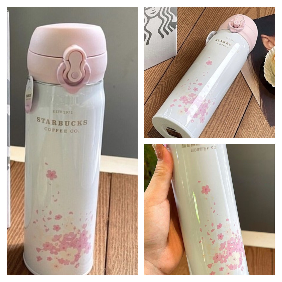 Starbucks 17oz Stainless Steel Insulated Cup – Leak-Proof Falling Cherry Pink