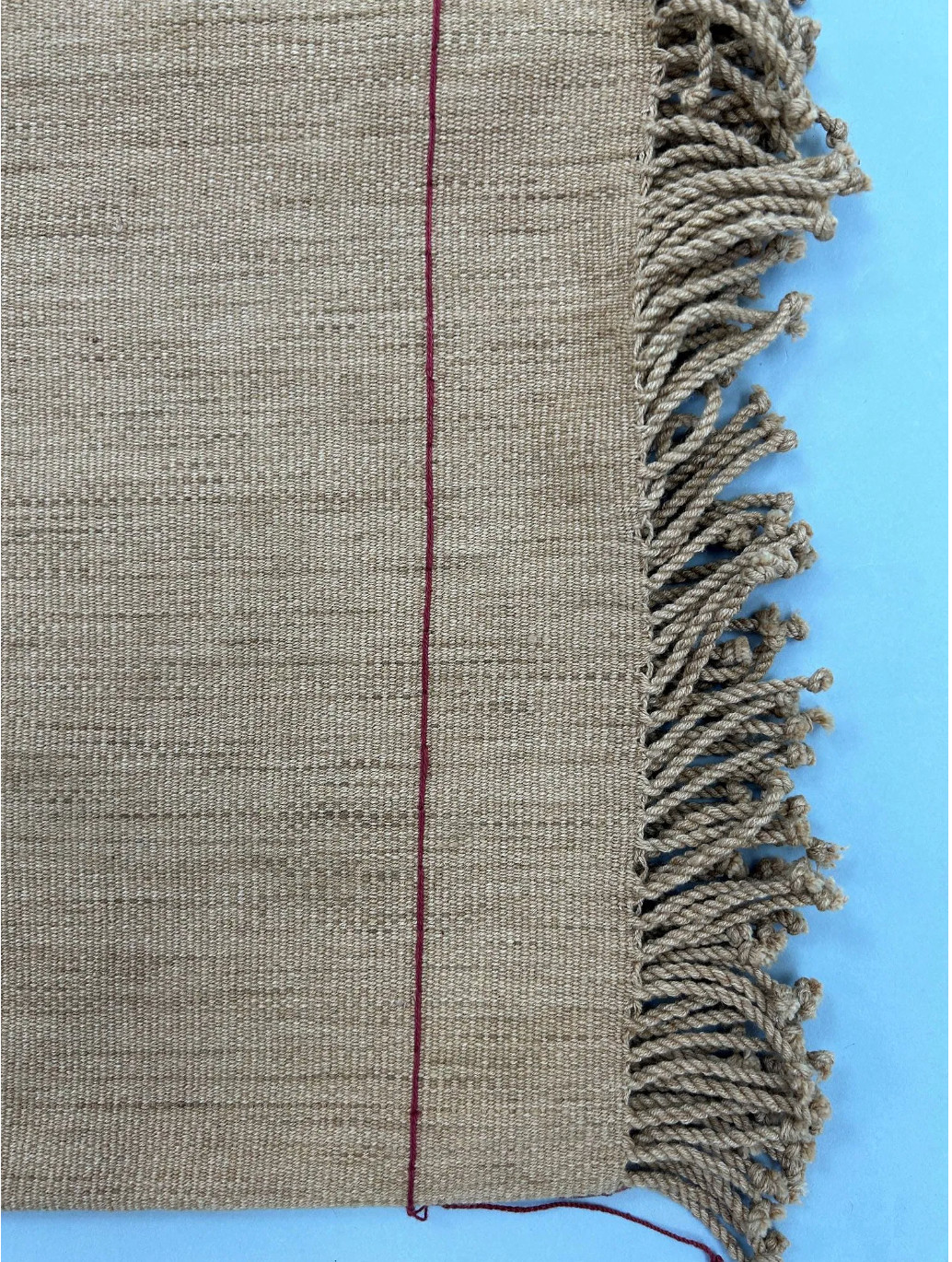 Naga Woven Textile (20th Century; India; Cotton)