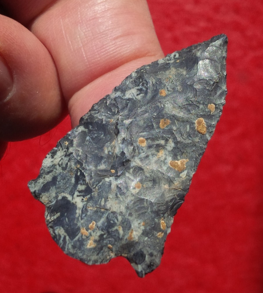 1-13/16 EVA BARBED OHIO ARROWHEAD Authentic Projectile Point AUTHENTIC ARROWHEAD