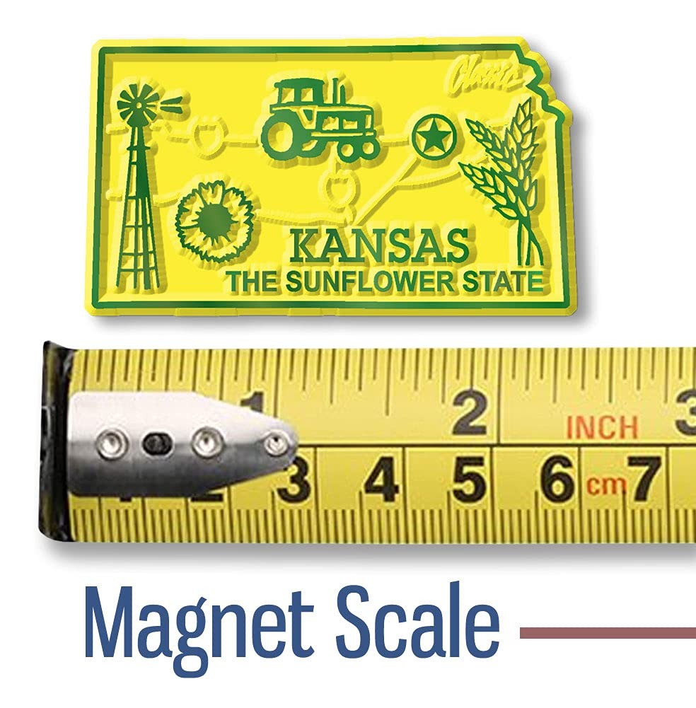 Original U.S. State Magnet Set by Classic Magnets, 3D Rubber zzzz-s, White