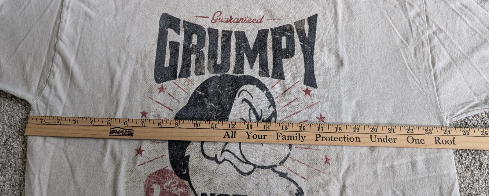 Disney Hanes grumpy tee shirt not just a mood its a lifestyle adult 2XL