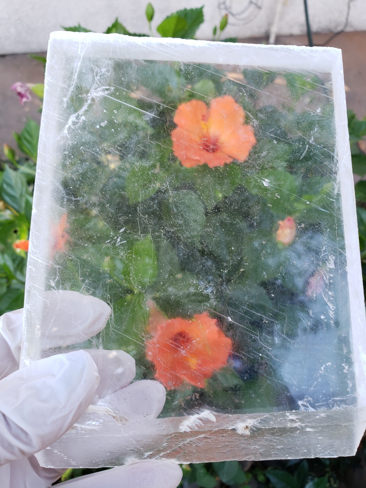 7.25″ HIGH QUALITY Raw Natural Clear Transparent Selenite Slab Slice Plate,1226g