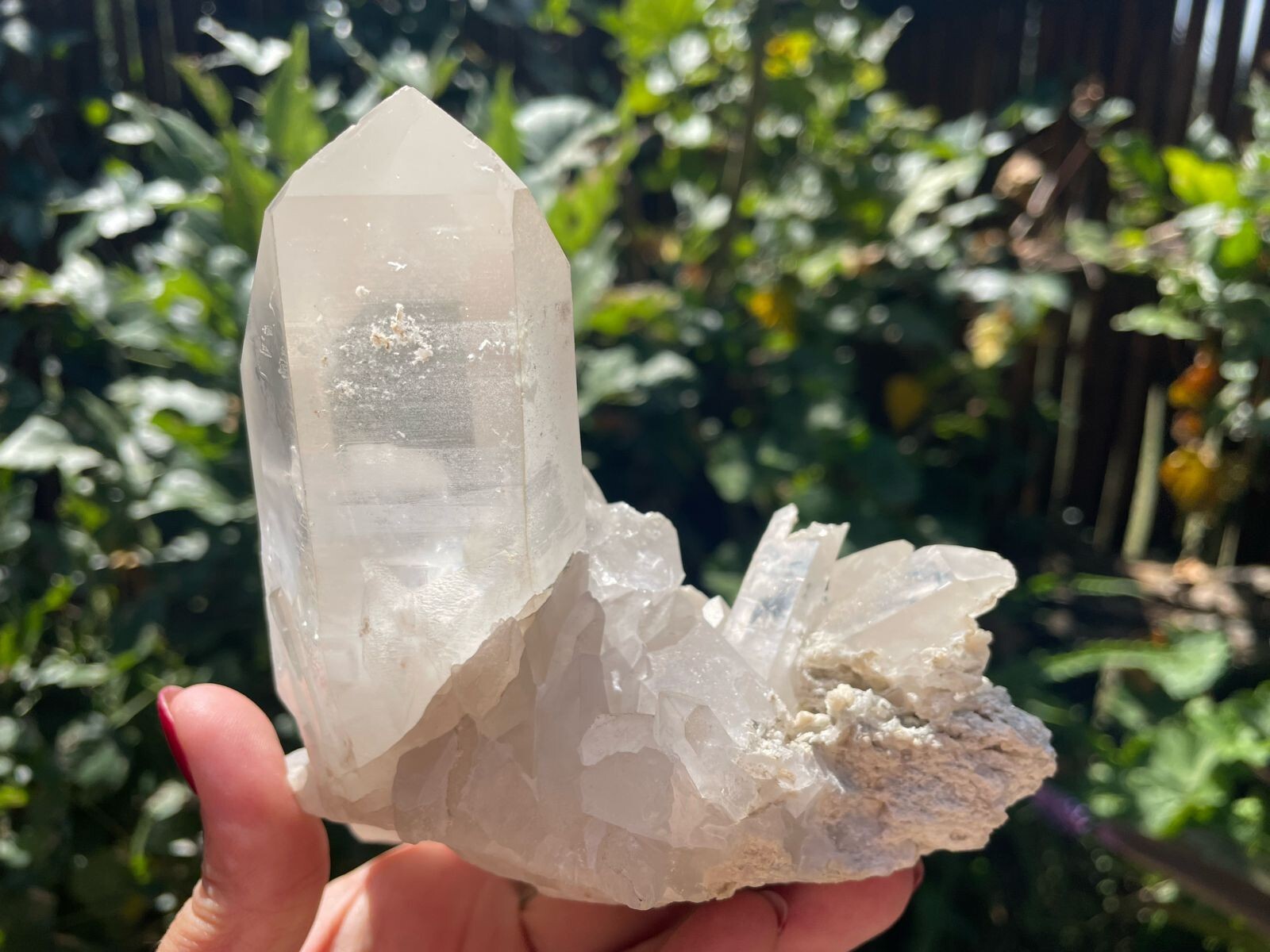 Zambian Clear Quartz Crystal cluster 0.77kg 15.04cm
