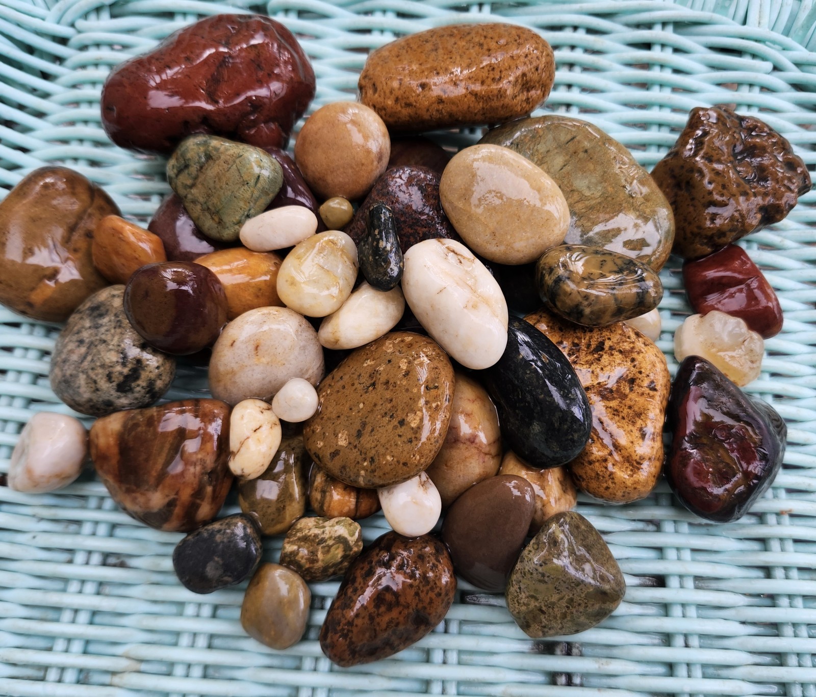 2.5 oz Raw PNW Beach Stones Lot – Wet Not Tumbled – Jasper Agate Chert Rocks
