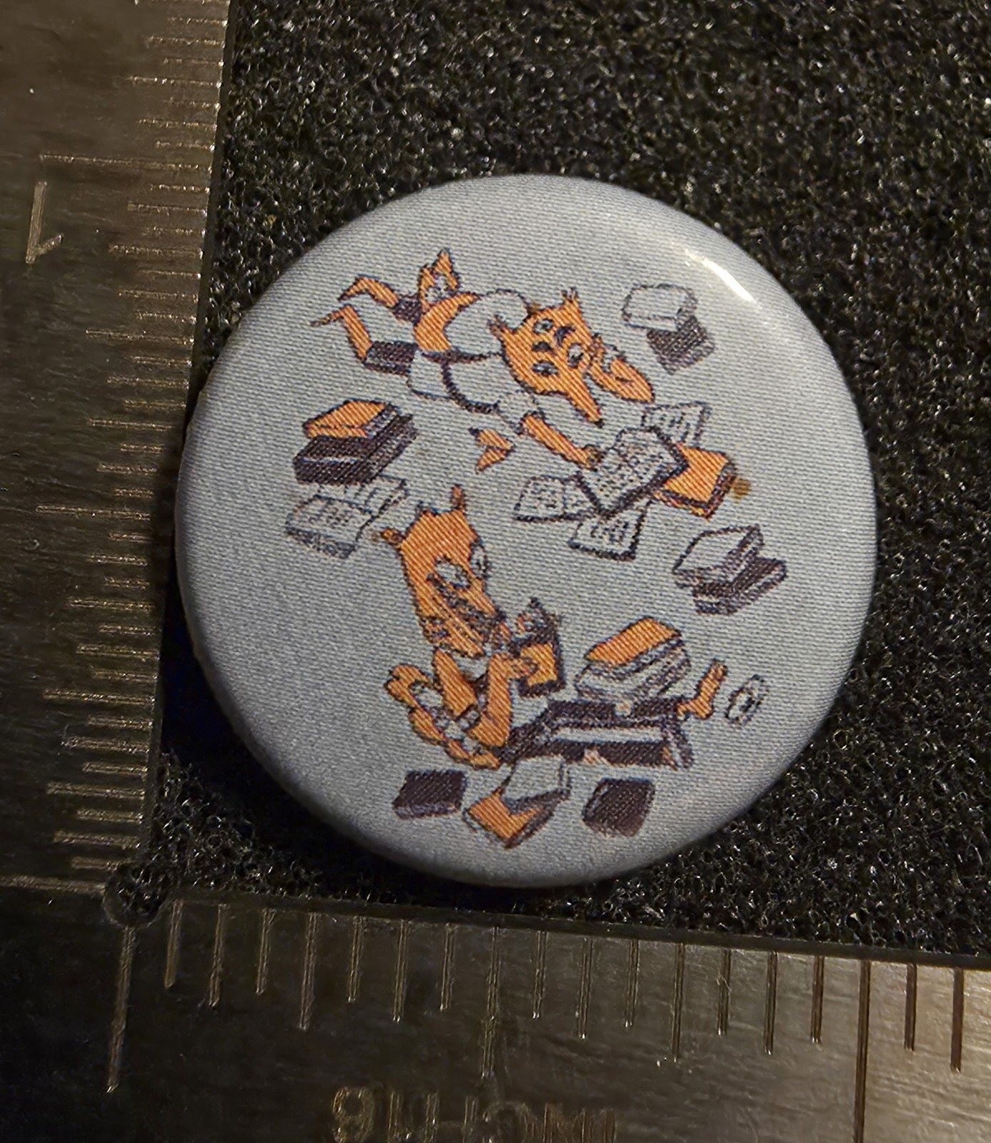 Fox Reading Books Button Whimsical