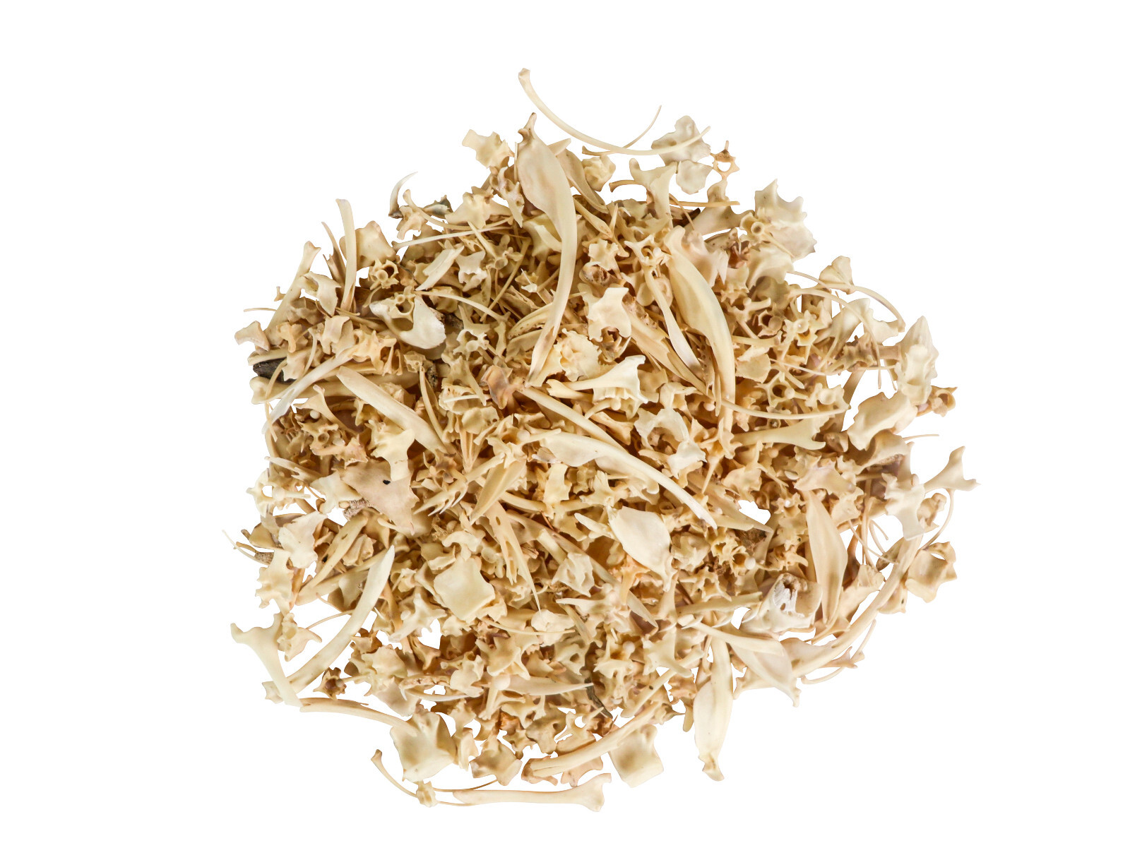 One (1) Ounce Bag of Real Rattlesnake Head Bones (598-B120H-OZ1) Y2L