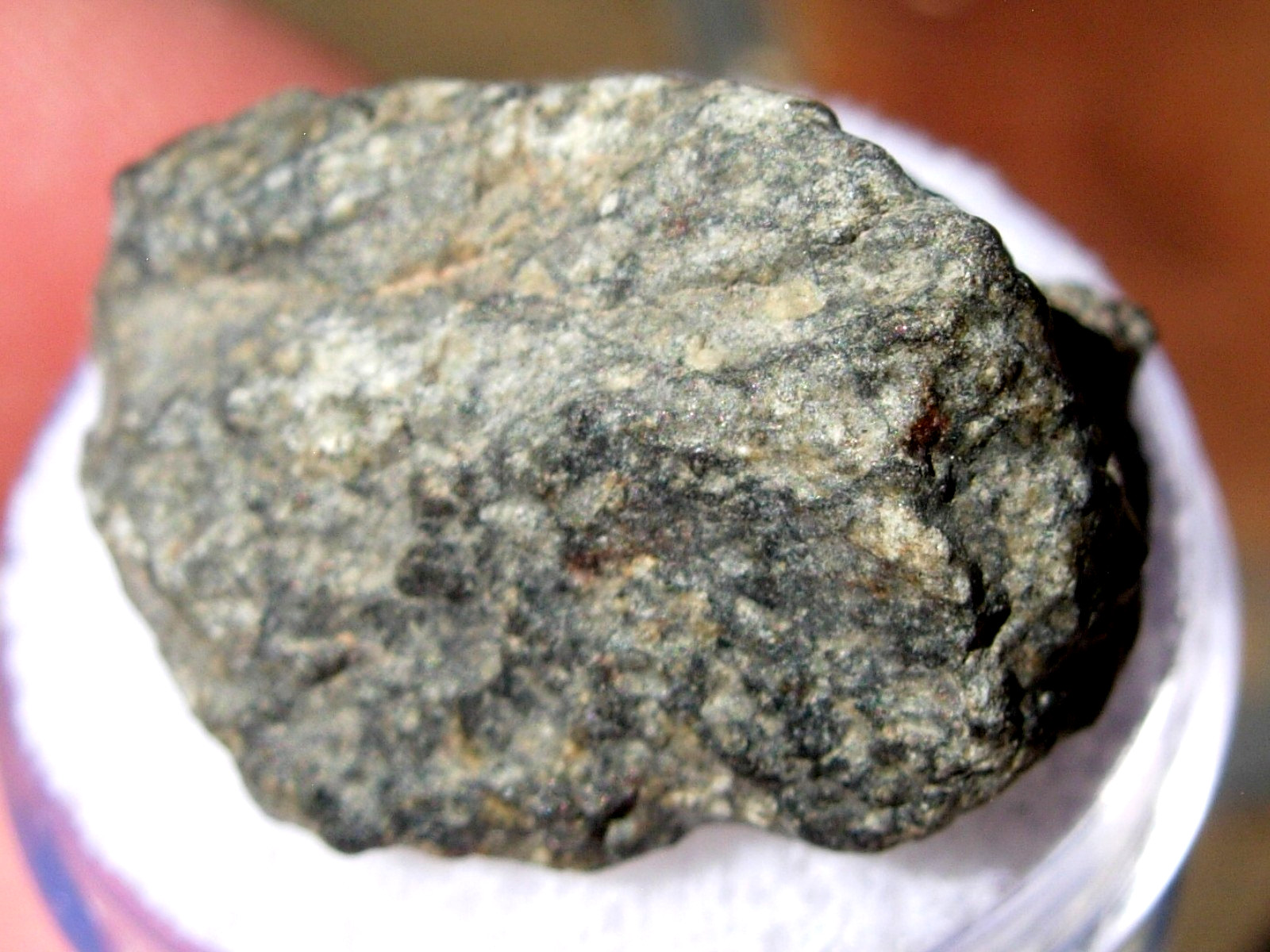 6.14 grams NEA 045 Meteorite (Class LL6) as found in 2023 in Libya with a COA