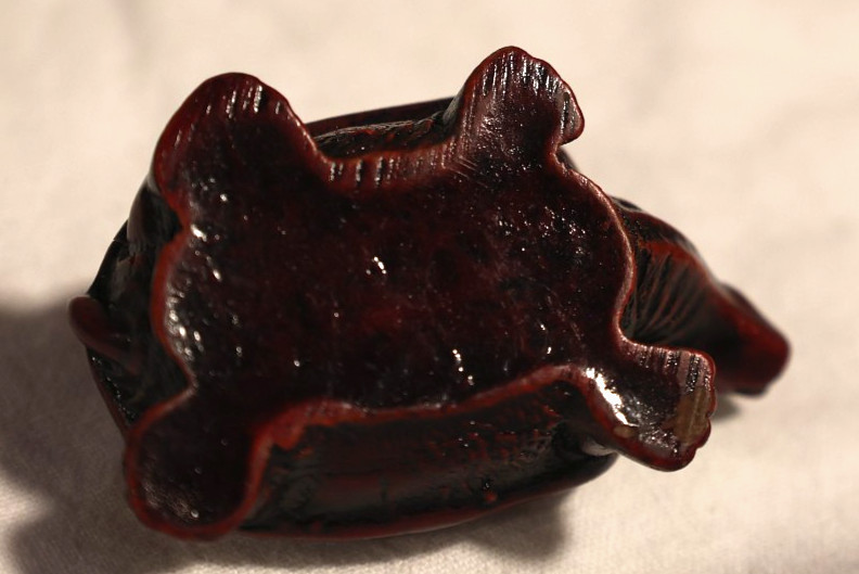2 1/2 inch Carved Wooden Tortoise from Galapagos vacation in early 2000s