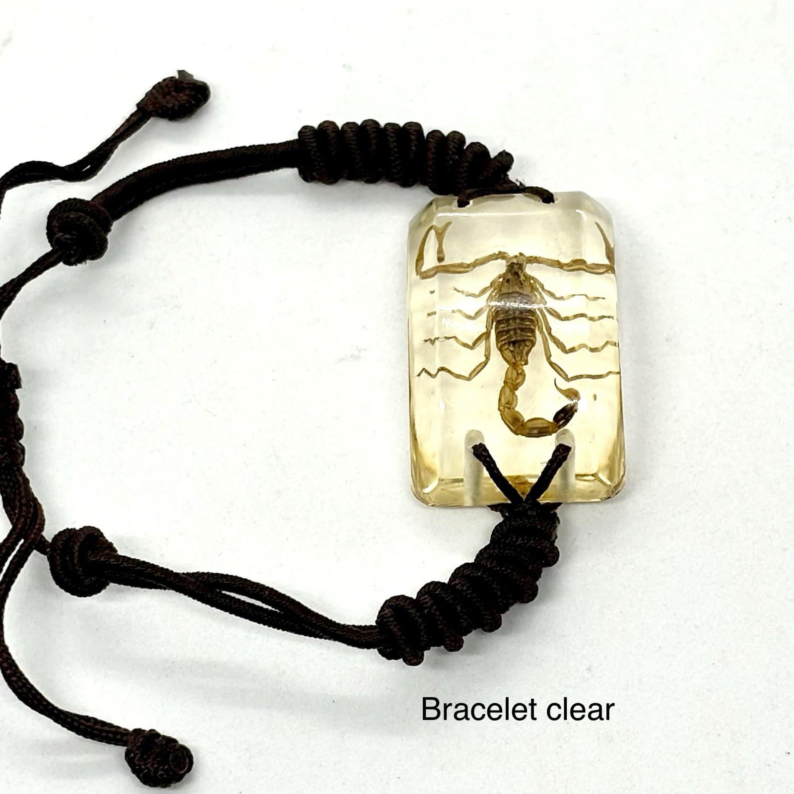 Scorpions In Resin Specimen Bracelet Pendant Necklace Ornament Collection 4 pcs