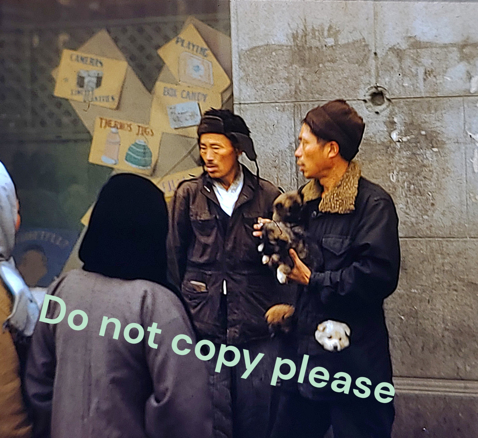 Korea Slide 3 DOGS HELD BY MAN 1950s Kodachrome Korean War Vintage 1953