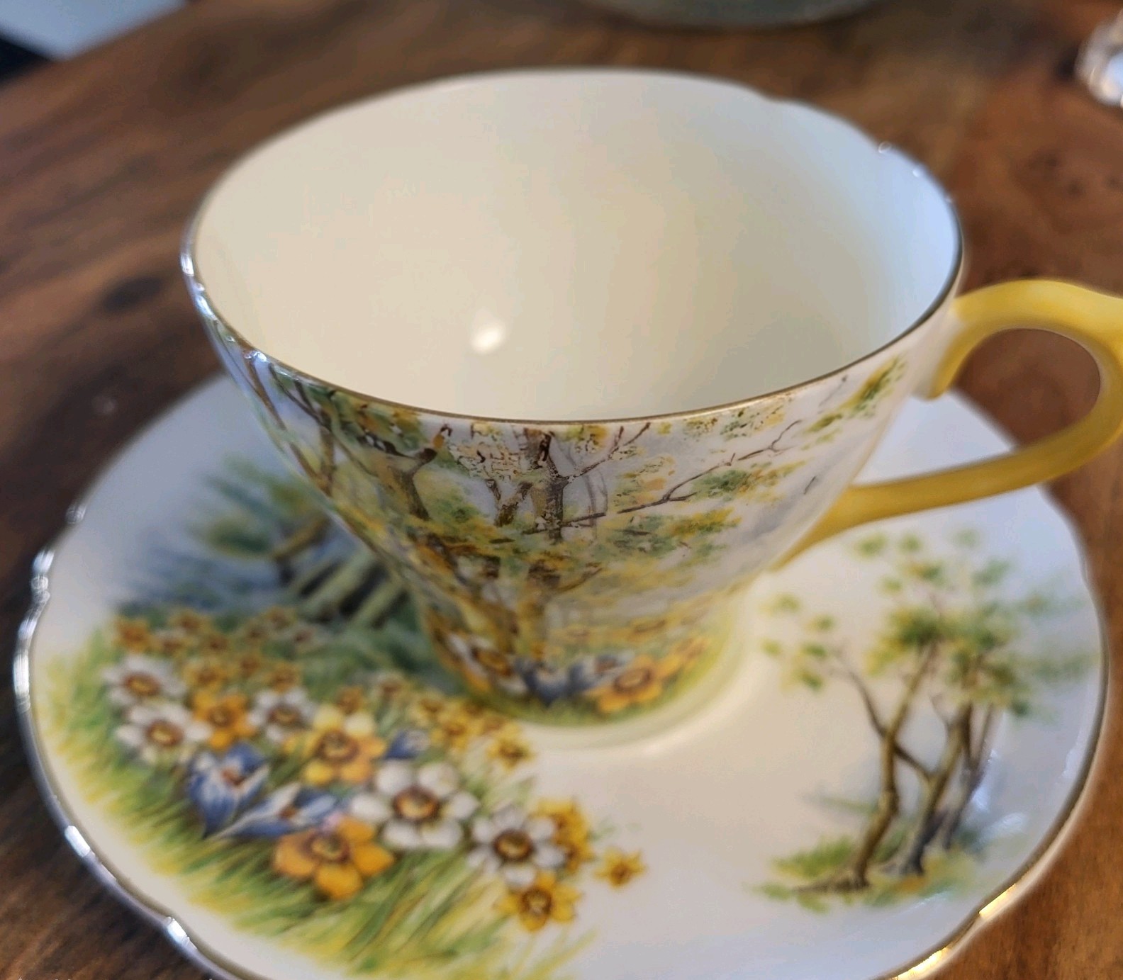 Vtg 1950s Shelley “Daffodil Time” Teacup Cup & Saucer Fine Bone China #13370